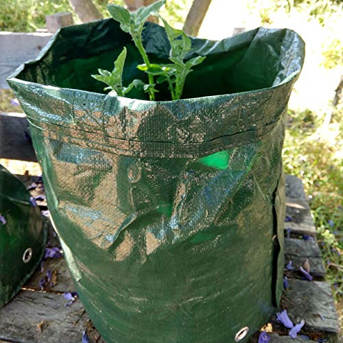 4 Pack 10 Gallon Garden Potato Grow Bags with Flap and Handles Aer...