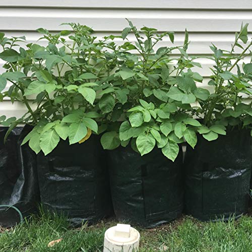 4 Pack 10 Gallon Garden Potato Grow Bags with Flap and Handles Aer...