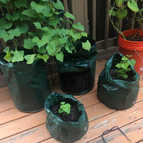 4 Pack 10 Gallon Garden Potato Grow Bags with Flap and Handles Aer...