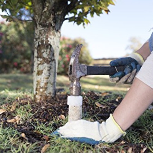 Jobes 01000 1000 Tree Fertilizer Spikes 16-4-4, 5, natrual