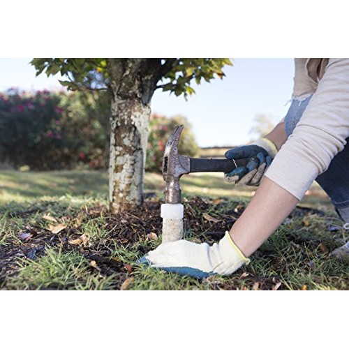 Jobes 01000 1000 Tree Fertilizer Spikes 16-4-4, 5, natrual