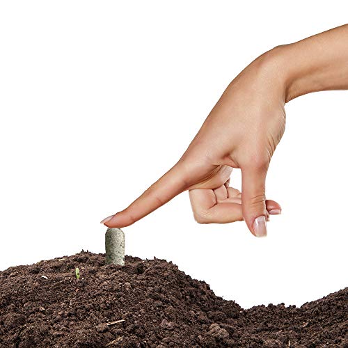 Jobes 06328 Bone Meal Fertilizer Spikes, 50, Natural