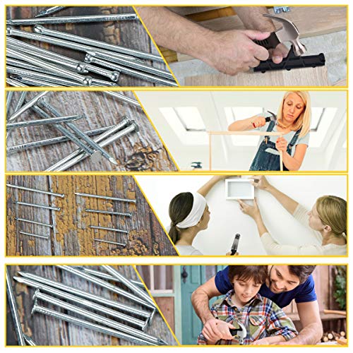 560PCs Hardware Nail Assortment Kit & 8oz Samll Claw Hammer, Mini ...