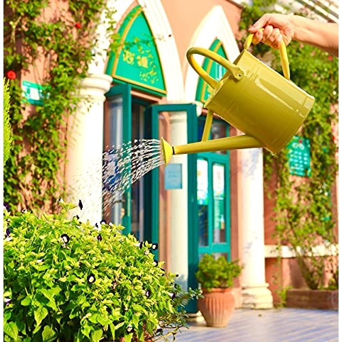 Joequality Watering Can for Outdoor Plants，1 Gallon Metal Plant W...