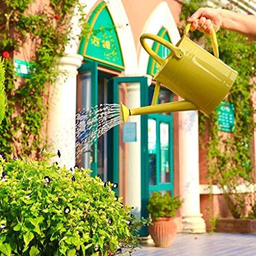 Joequality Watering Can for Outdoor Plants，1 Gallon Metal Plant W...