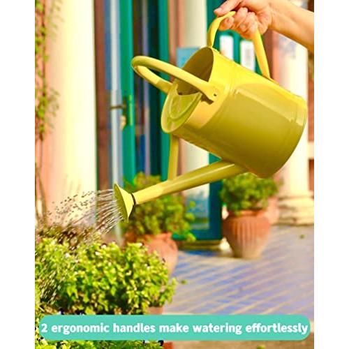 Joequality Watering Can for Outdoor Plants，1 Gallon Metal Plant W...