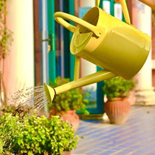 Joequality Watering Can for Outdoor Plants，1 Gallon Metal Plant W...