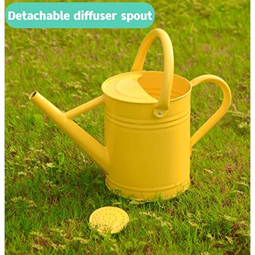 Joequality Watering Can for Outdoor Plants，1 Gallon Metal Plant W...