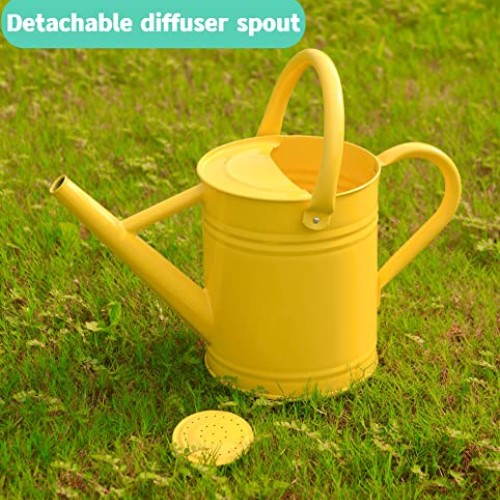 Joequality Watering Can for Outdoor Plants，1 Gallon Metal Plant W...