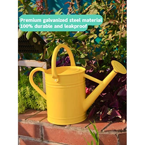 Joequality Watering Can for Outdoor Plants，1 Gallon Metal Plant W...
