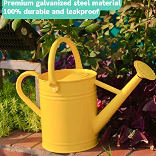 Joequality Watering Can for Outdoor Plants，1 Gallon Metal Plant W...