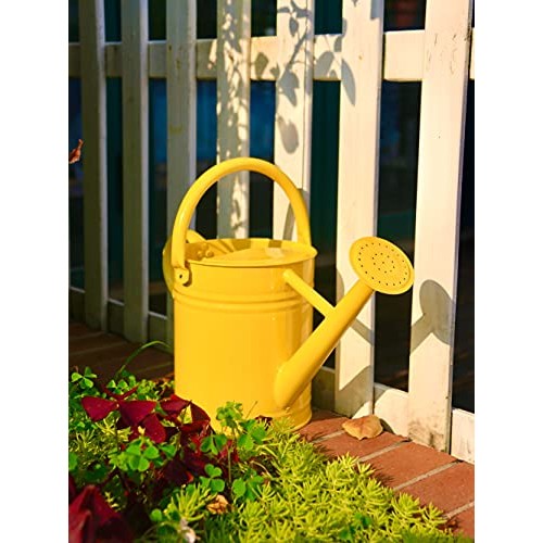 Joequality Watering Can for Outdoor Plants，1 Gallon Metal Plant W...
