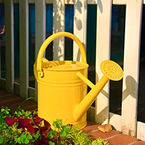 Joequality Watering Can for Outdoor Plants，1 Gallon Metal Plant W...