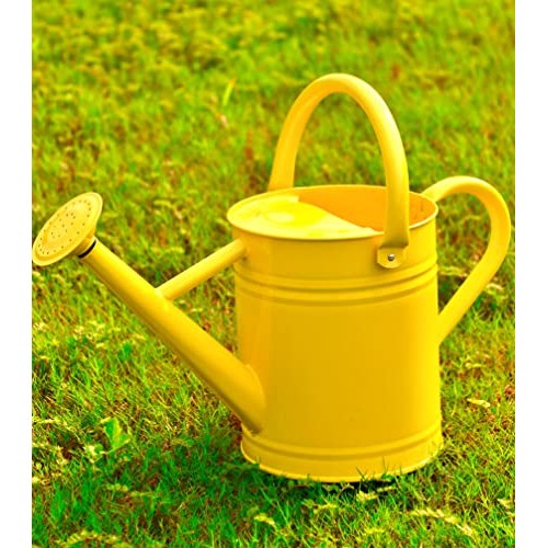 Joequality Watering Can for Outdoor Plants，1 Gallon Metal Plant W...
