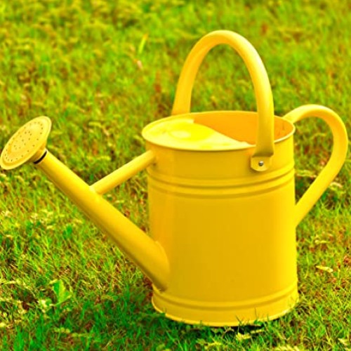 Joequality Watering Can for Outdoor Plants，1 Gallon Metal Plant W...