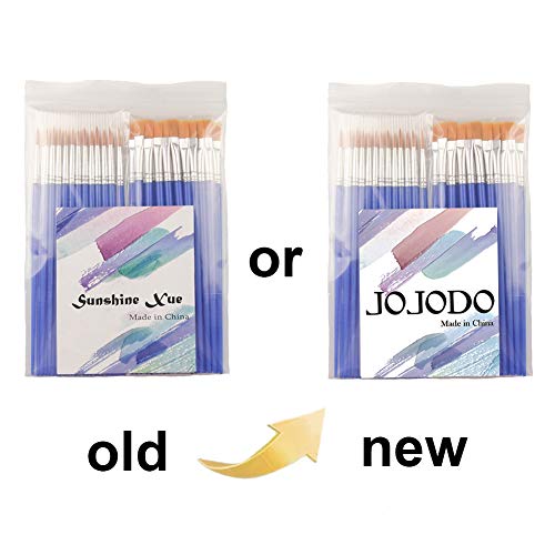 JOJODO Flat Paint Brushes Set，50 Pcs Art Paintbrushes for Kids/Ar...