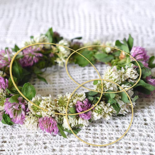 6 Pcs Metal Floral Hoop 3 Sizes（10,12 & 14 inch） Gold Catcher Wr...