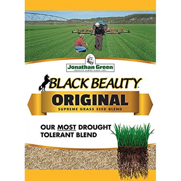 Jonathan Green 10315 Black Beauty Grass Seed Mix, 25-Pound