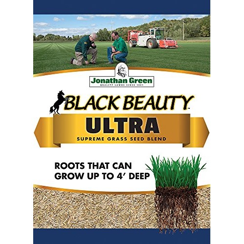 Jonathan Green 10322 Black Beauty Ultra Grass Seed Mix, 7 Pounds