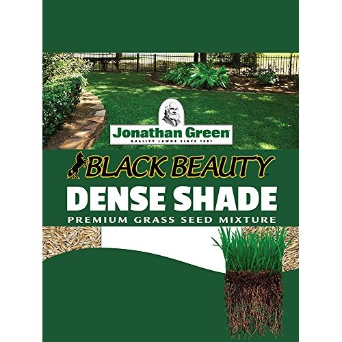 Jonathan Green 10610 Dense Shade Grass Seed Mixture, 25-Pound