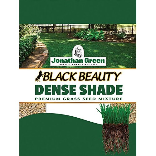 Jonathan Green 10620 Dense Shade Grass Seed Mix, 7 Pounds