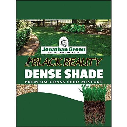 Jonathan Green 10622 Dense Shade Grass Seed Mix, 1 Pounds
