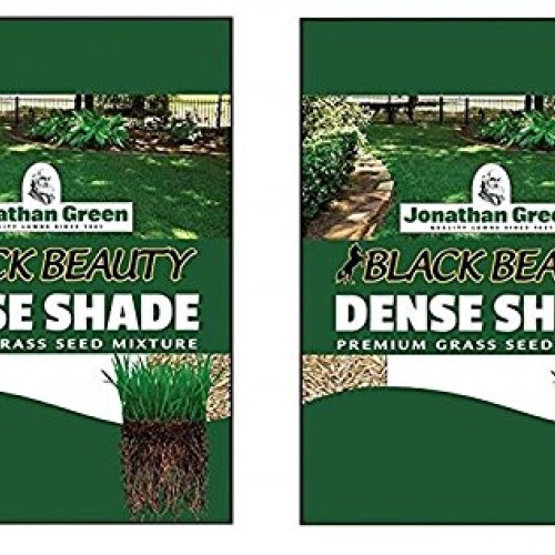 Jonathan Green 10622 Dense Shade Grass Seed Mix, 2 Pound
