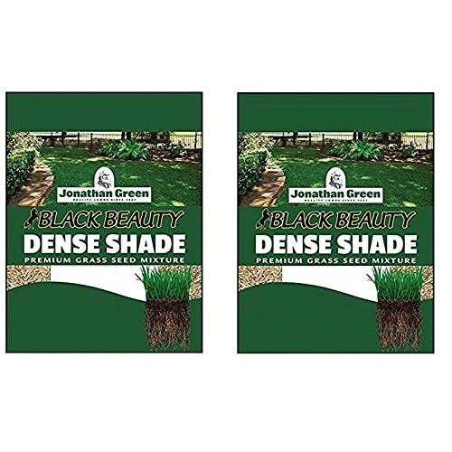 Jonathan Green 10622 Dense Shade Grass Seed Mix, 2 Pound