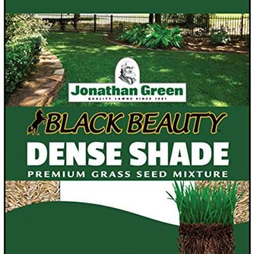 Jonathan Green JOG10600 40600 Dense Shade Grass Seed, 3 lb, 3-Pound