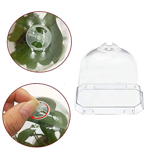 Small Thick Square Plant Pots Square Plants Nursery Pot Indoor Pla...