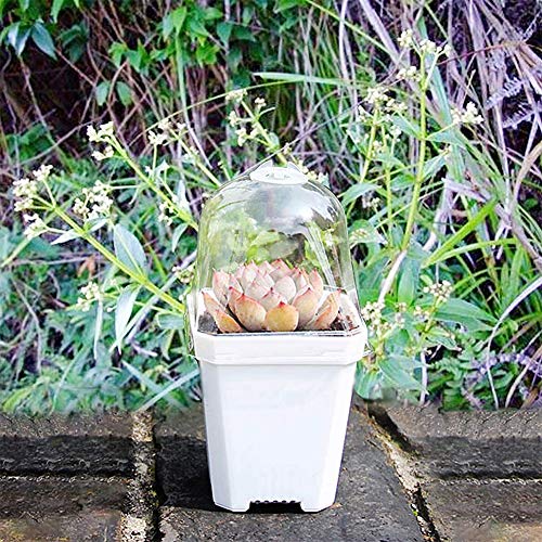 Small Thick Square Plant Pots Square Plants Nursery Pot Indoor Pla...