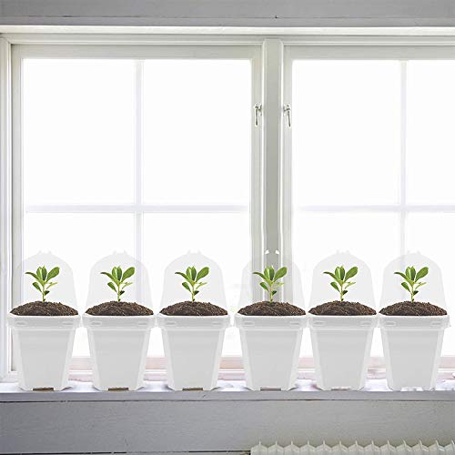 Small Thick Square Plant Pots Square Plants Nursery Pot Indoor Pla...