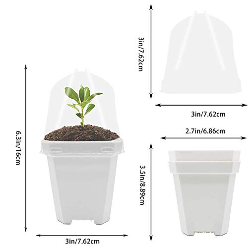 Small Thick Square Plant Pots Square Plants Nursery Pot Indoor Pla...