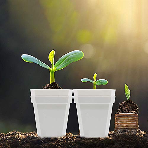 Small Thick Square Plant Pots Square Plants Nursery Pot Indoor Pla...