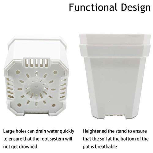 Small Thick Square Plant Pots Square Plants Nursery Pot Indoor Pla...