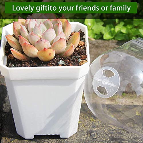 Small Thick Square Plant Pots Square Plants Nursery Pot Indoor Pla...
