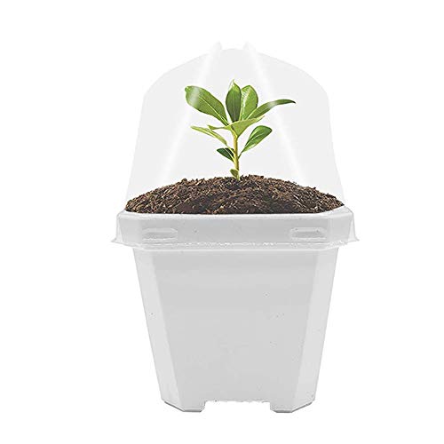 Small Thick Square Plant Pots Square Plants Nursery Pot Indoor Pla...