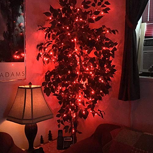 JosMega Upgraded Solar Powered String Fairy Lights 2 Pack 72 ft 20...