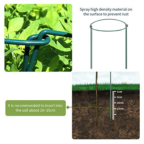 JOYSEUS 6 Pack Plant Support Stakes, Metal Garden Plant Stake, Gre...