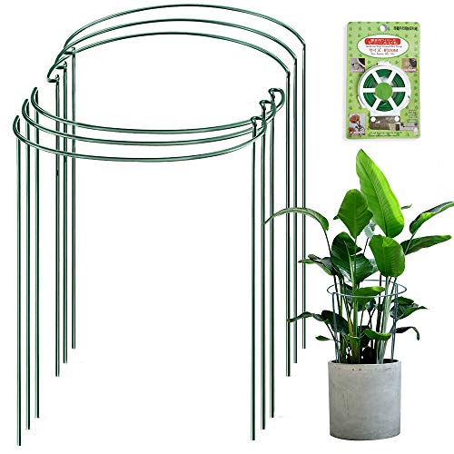 JOYSEUS 6 Pack Plant Support Stakes, Metal Garden Plant Stake, Gre...