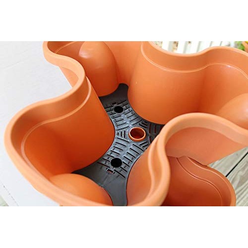 Julvie 6-Tier Strawberry and Herb Garden Planter,Indoor or Outdoor...