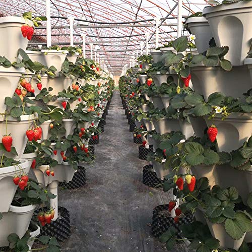 Julvie Stackable Vertical Planter Set,Strawberry and Herb 6 Tier G...