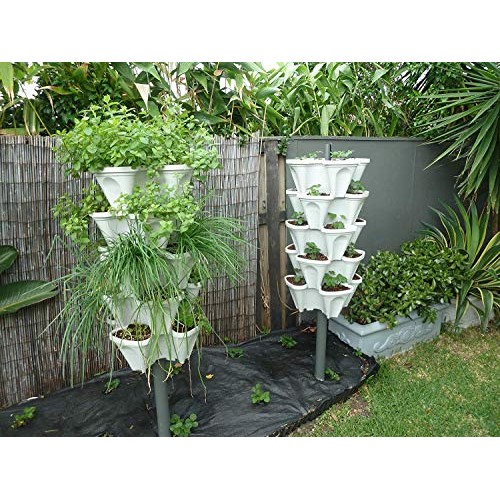 Julvie Stackable Vertical Planter Set,Strawberry and Herb 6 Tier G...