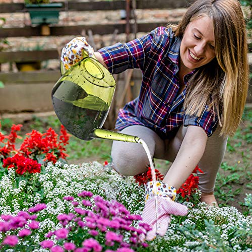 Junyimaoyi Watering Can with Mist Sprayer Long Spout Watering Kett...
