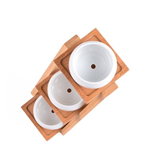 Jusalpha 3.2 Inches Ceramic Round Succulent Plant Pot, Flower Pots...