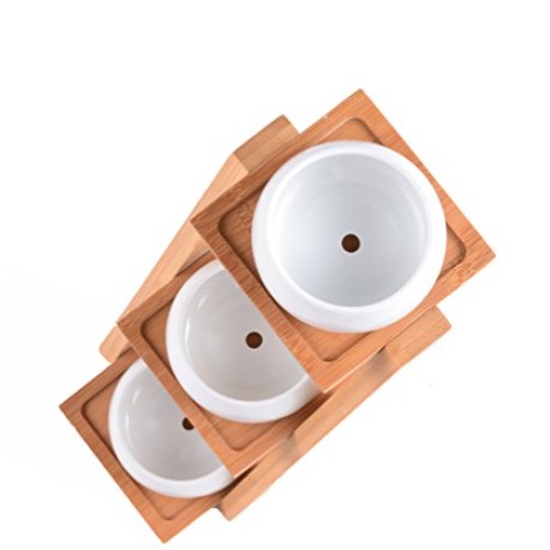 Jusalpha 3.2 Inches Ceramic Round Succulent Plant Pot, Flower Pots...