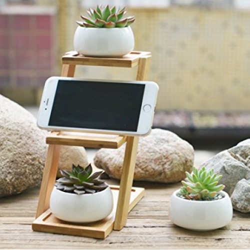 Jusalpha 3.2 Inches Ceramic Round Succulent Plant Pot, Flower Pots...