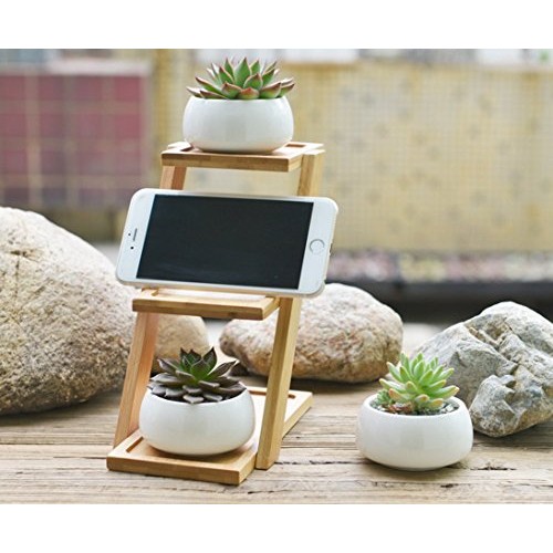 Jusalpha 3.2 Inches Ceramic Round Succulent Plant Pot, Flower Pots...