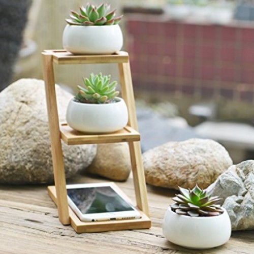 Jusalpha 3.2 Inches Ceramic Round Succulent Plant Pot, Flower Pots...