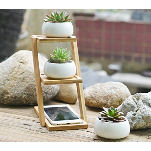 Jusalpha 3.2 Inches Ceramic Round Succulent Plant Pot, Flower Pots...